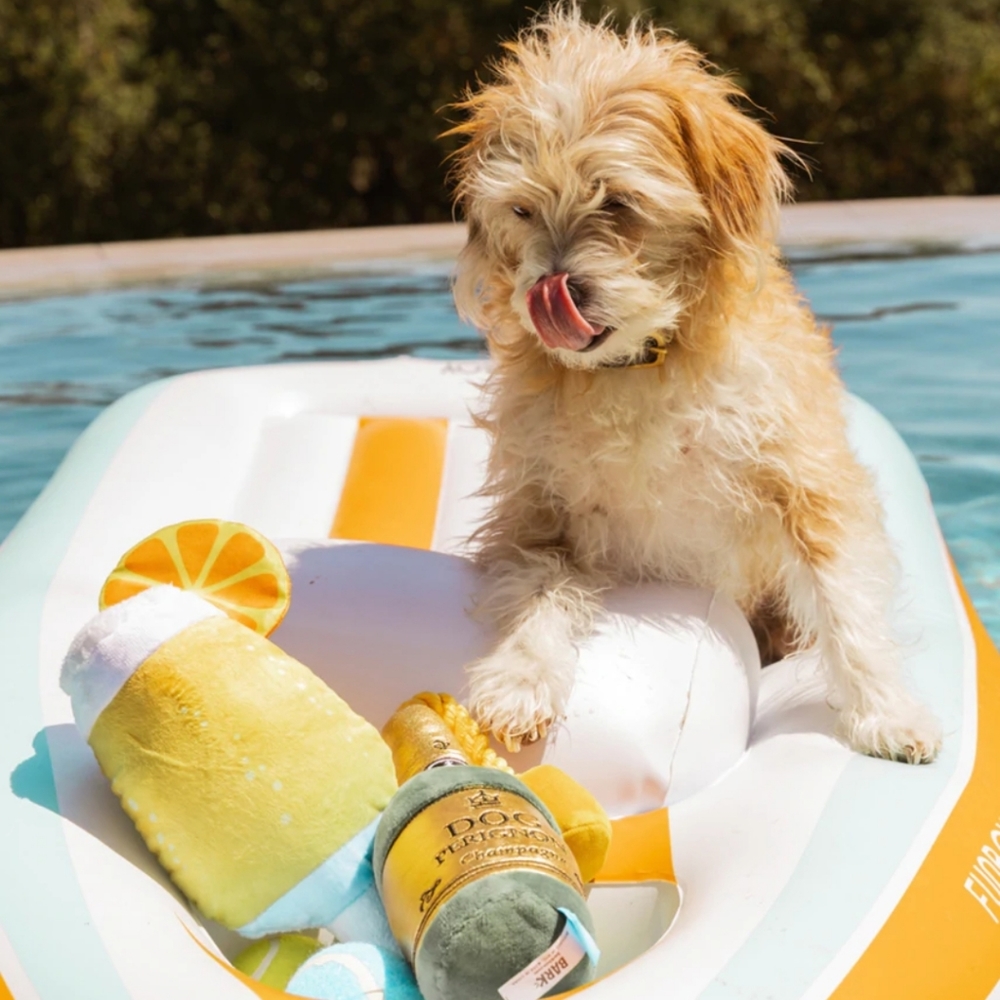 Yacht Dog Float- Limited Edition!!!